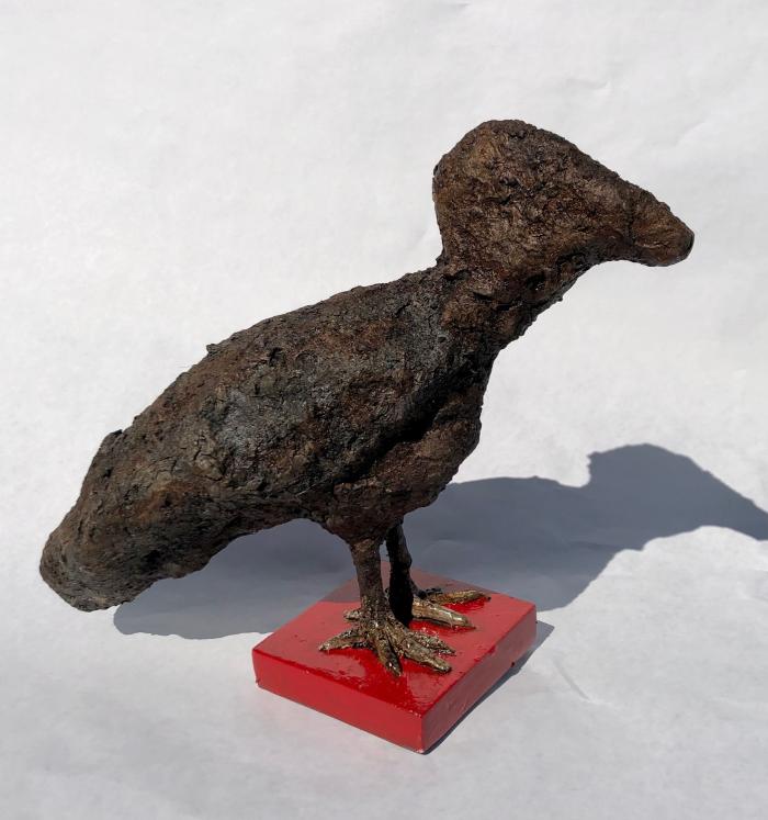 Turkey Vulture by Brantner DeAtley