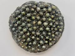 Twinkle by Idil Barkan