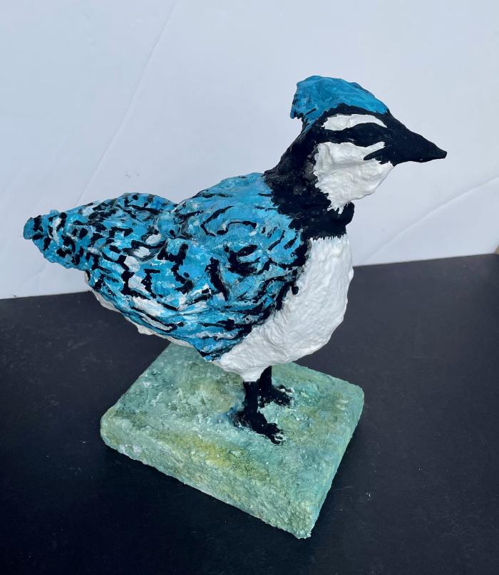 Bluejay by Brantner DeAtley