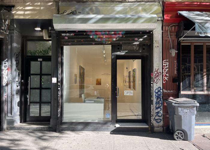 Installation View of Fireflies & Jewelweed