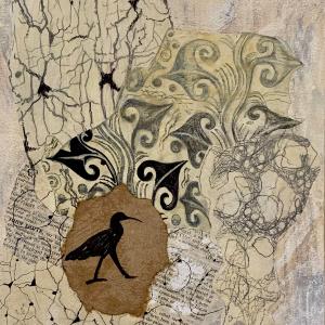 Biological Anthropology: Ibis by  Marianne van Lent