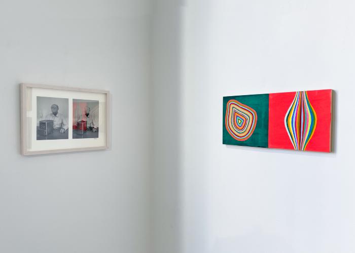 Installation View of JANUS