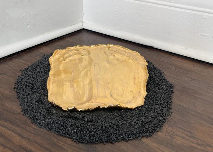 Installation View of JANUS