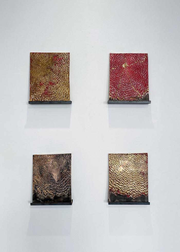 Installation View of JANUS