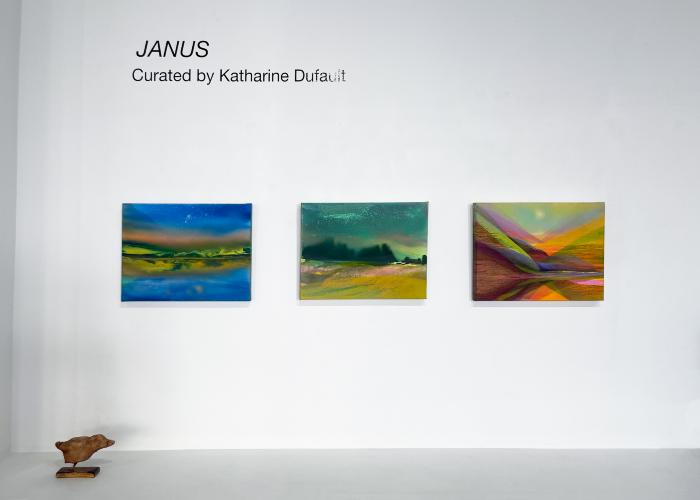 Installation View of JANUS
