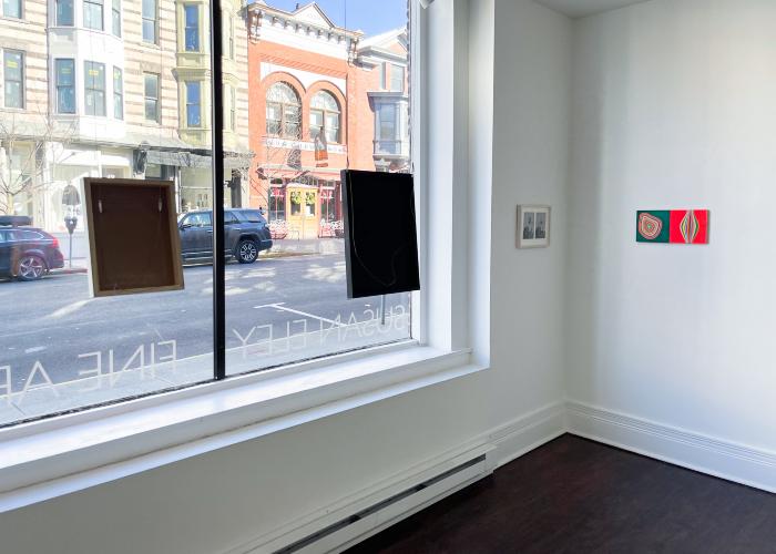 Installation View of JANUS