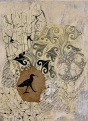 Biological Anthropology: Ibis by  Marianne van Lent