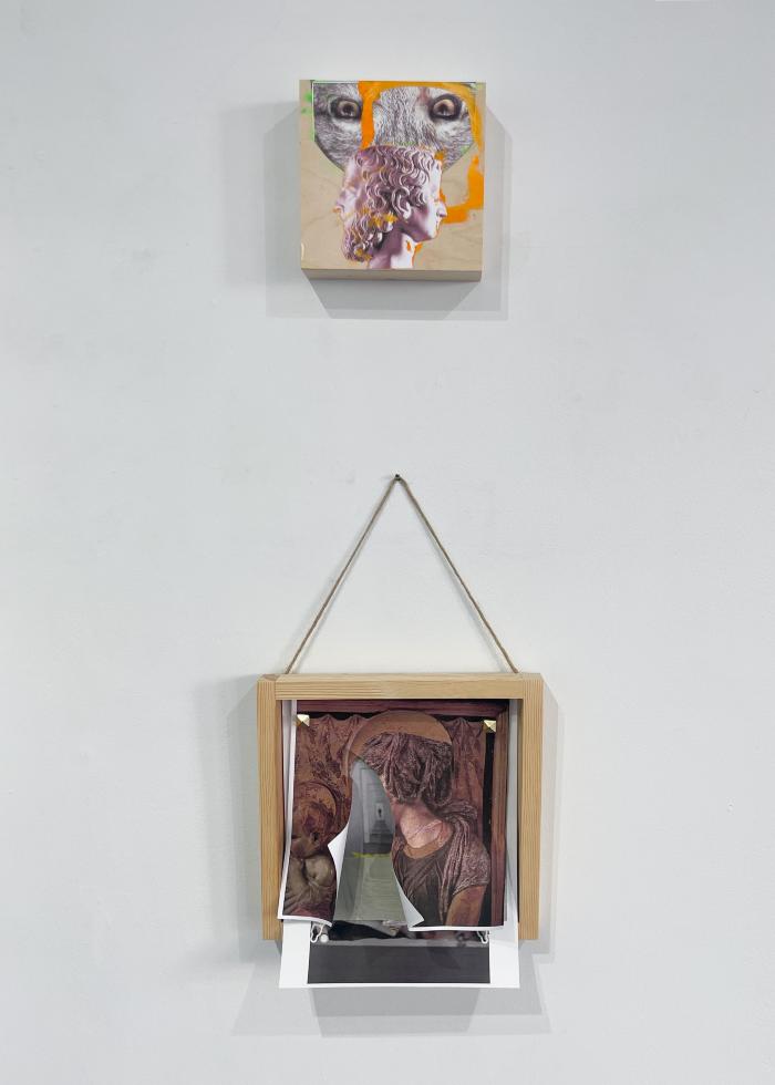 Installation View of JANUS