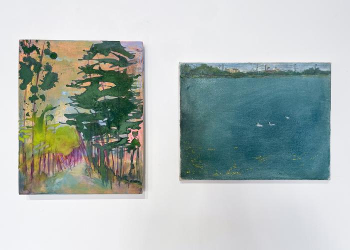 Installation View of JANUS