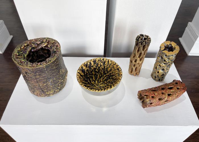 Installation View of JANUS