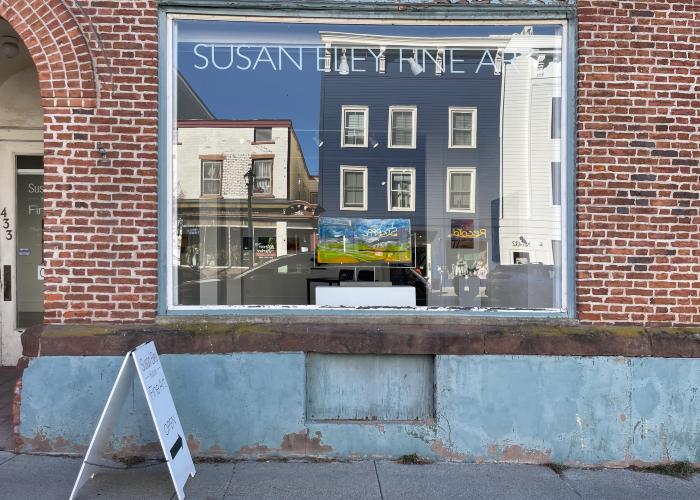 Installation View of JANUS