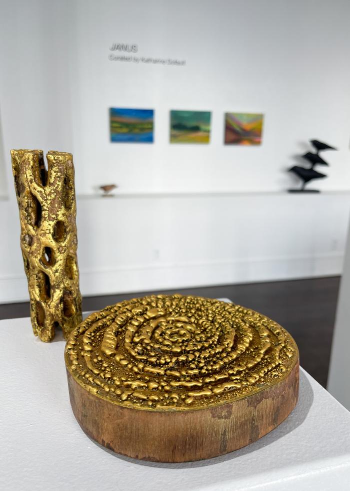 Installation View of JANUS