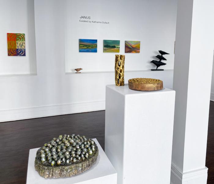 Installation View of JANUS