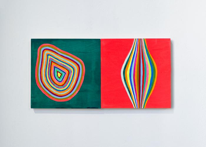 Installation View of JANUS