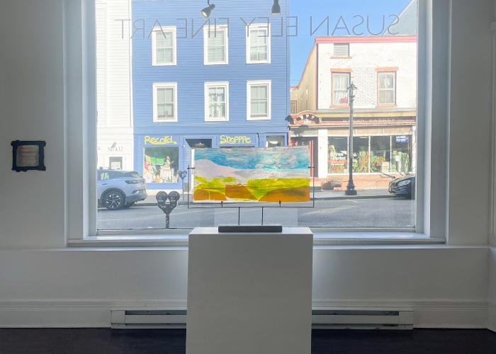 Installation View of JANUS