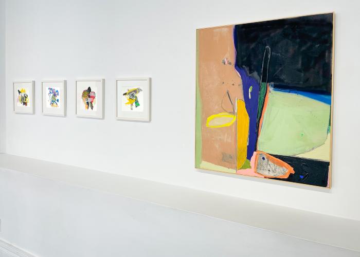 Installation View of springburst