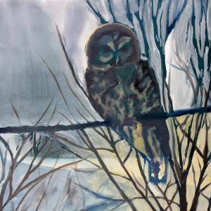 Owl by Katharine Dufault