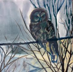 Owl by Katharine Dufault