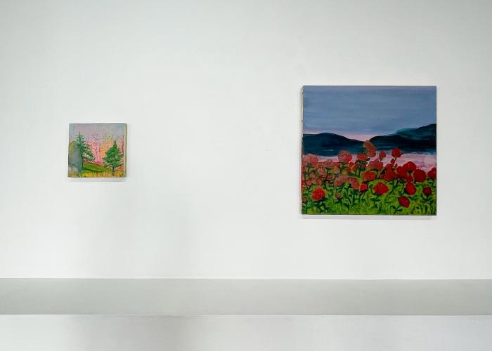 Installation View of Where The Owl Soars