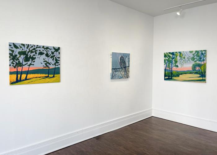 Installation View of Where The Owl Soars
