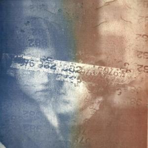 The Art of Captivity Part 2