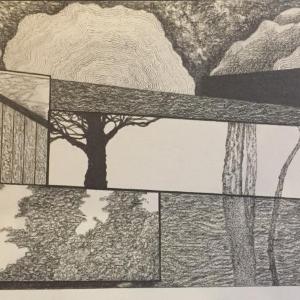 Local Hemisphere by James Isherwood