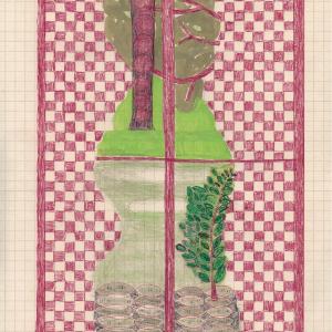 Checkered Curtains by Caroline Blum