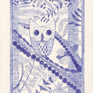 Barry the Barred Owl by Caroline Blum