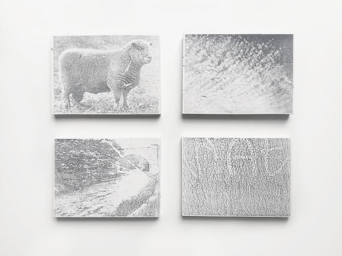 Look Alikes by Stella Egelja