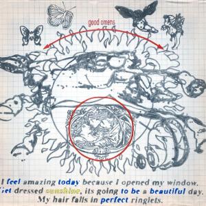 Feel Amazing Today by Carley Gmitro