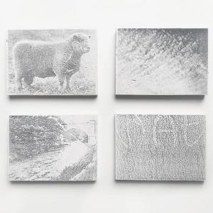 Look Alikes by Stella Egelja