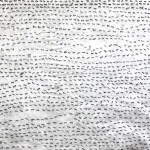 Ants (Gold Leaf) by Fumiko Toda