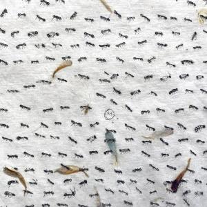 Ants (Petal) by Fumiko Toda