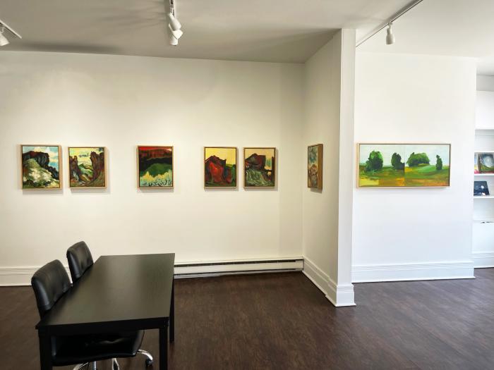 Installation View of Refracted Wilderness