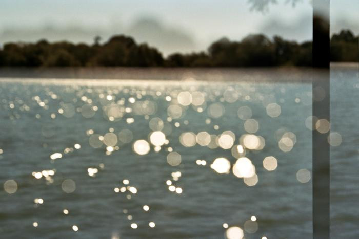 Transitory Space, Brooklyn, Prospect Park, Natural Dots II
 by Leah Oates
