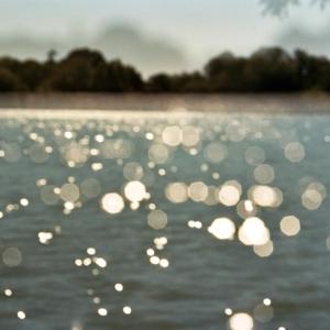 Transitory Space, Brooklyn, Prospect Park, Natural Dots II
 by Leah Oates