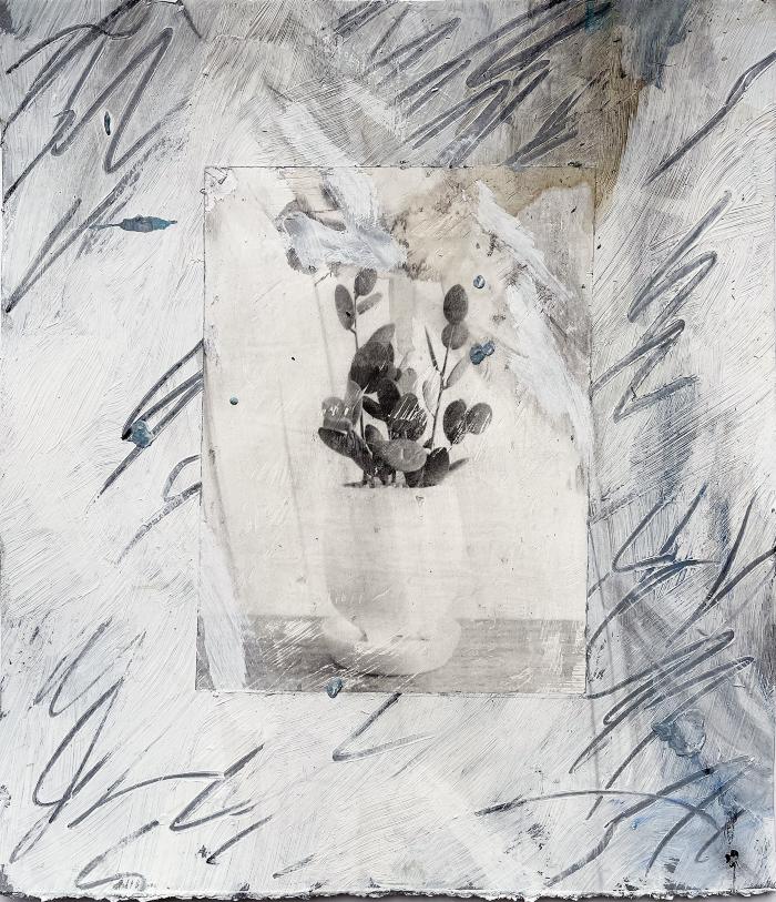 Still life 032
 by Josh Meillier