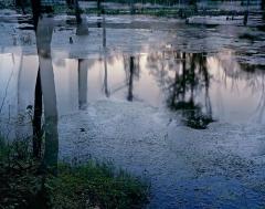 lovely, dark and deep #14 by Carolyn Monastra