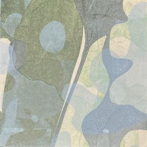 Tenuousness1
 by Karin Bruckner