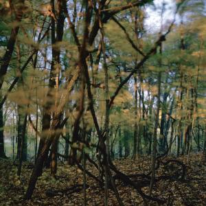 lovely, dark and deep #30
 by Carolyn Monastra