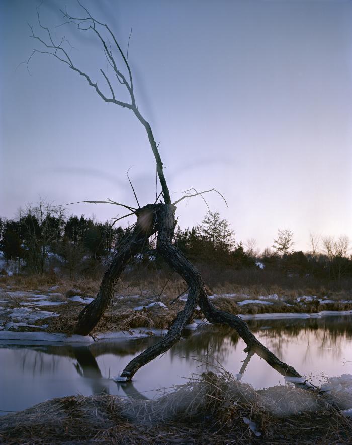 lovely, dark and deep #34
 by Carolyn Monastra