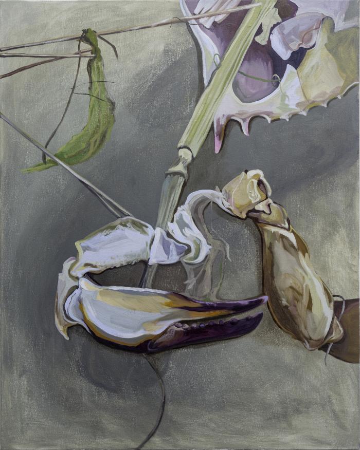 Fertilizer
 by Rory Torstensson