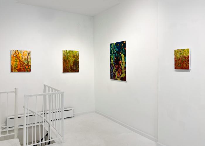 Installation View of Fireflies & Jewelweed