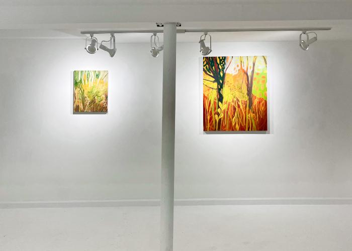 Installation View of Fireflies & Jewelweed