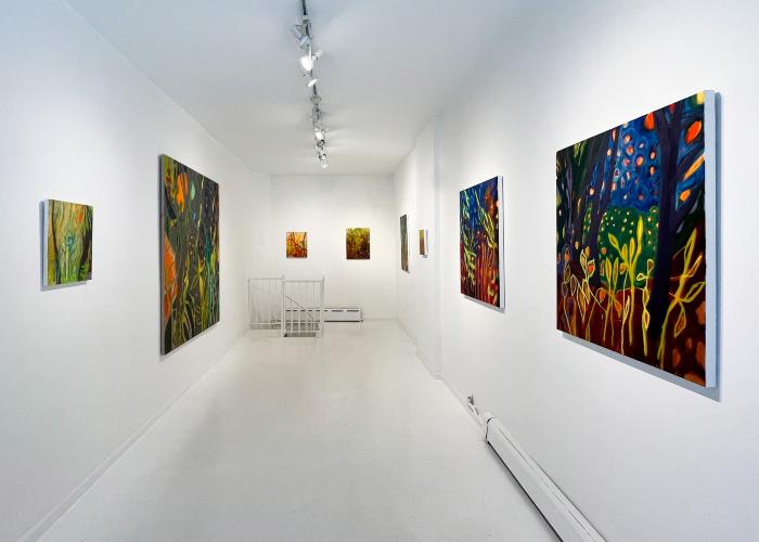 Installation View of Fireflies & Jewelweed